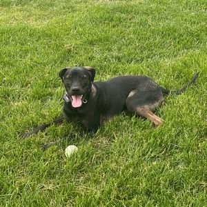 Meet your Posher, Alexandra